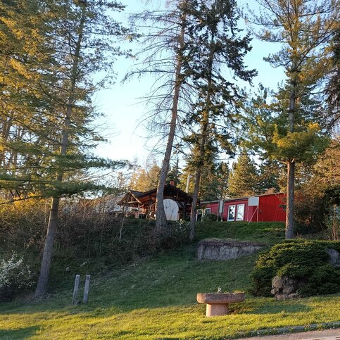 Häuser und Bäume im Reinsberger Dorf